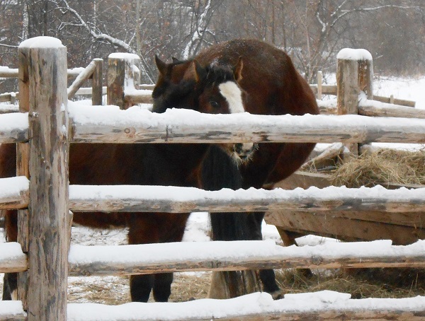 description